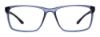 Picture of Chesterfield Eyeglasses CH 66XL
