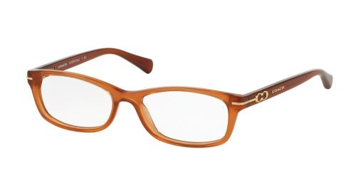 Picture of Coach Eyeglasses HC6054F