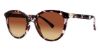 Picture of Modz Sunz Sunglasses Clearwater