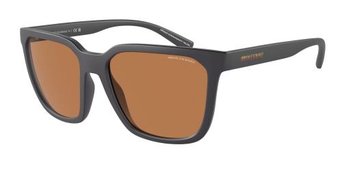 Picture of Armani Exchange Sunglasses AX4108SF