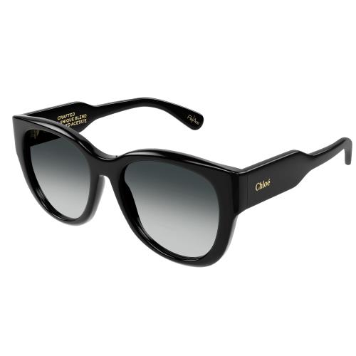 Picture of Chloe Sunglasses CH0192S