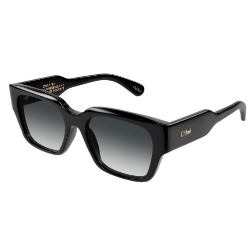 Picture of Chloe Sunglasses CH0190S