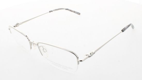 Picture of Pierre Cardin Eyeglasses P.C. 8841