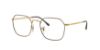 Picture of Ray Ban Eyeglasses RX3694V