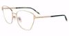 Picture of Chopard Eyeglasses VCHG98M
