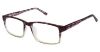 Picture of New Globe Eyeglasses M449